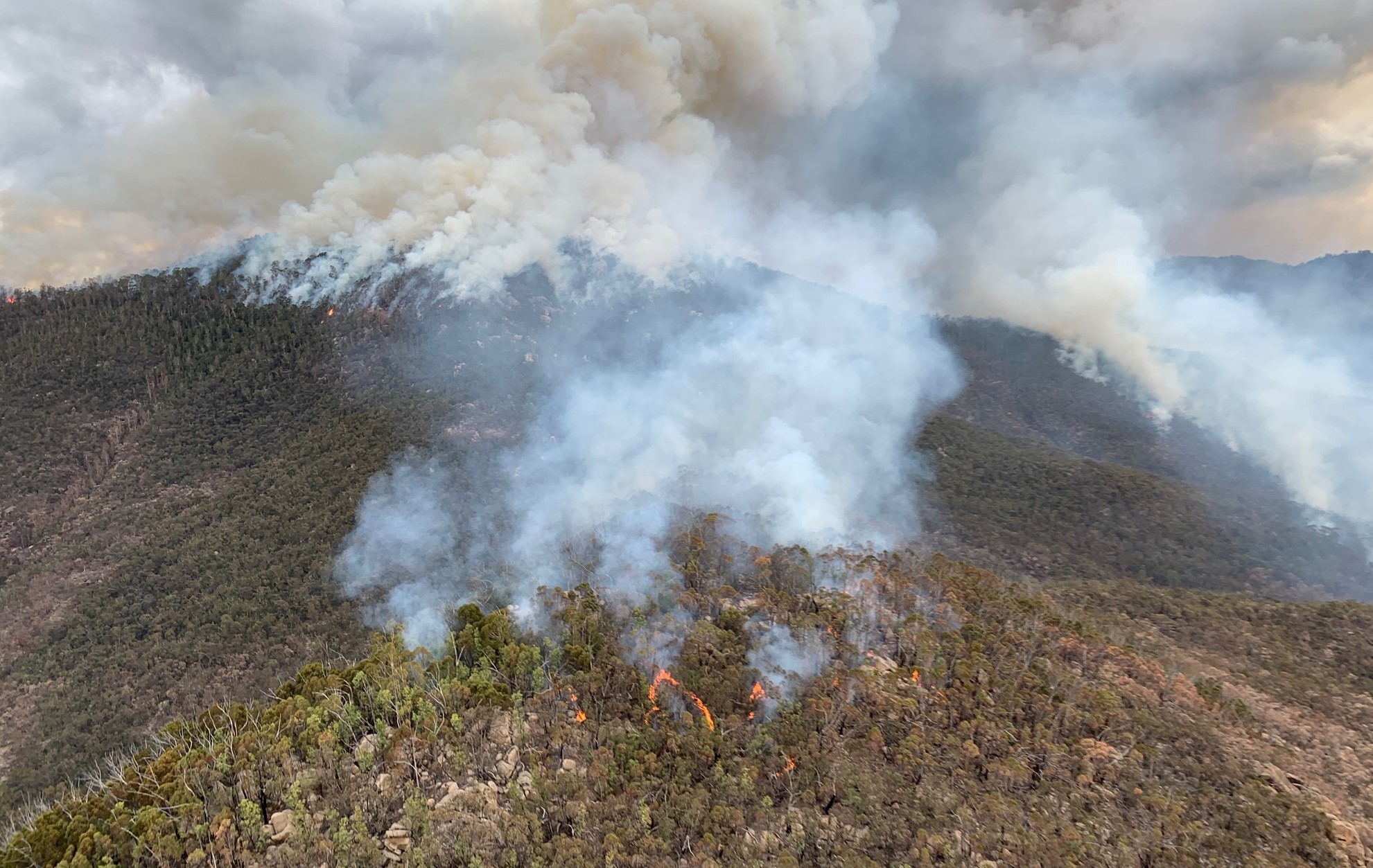 Future Bushfire Protection Measures For The Act Act Emergency Services Agency 9111